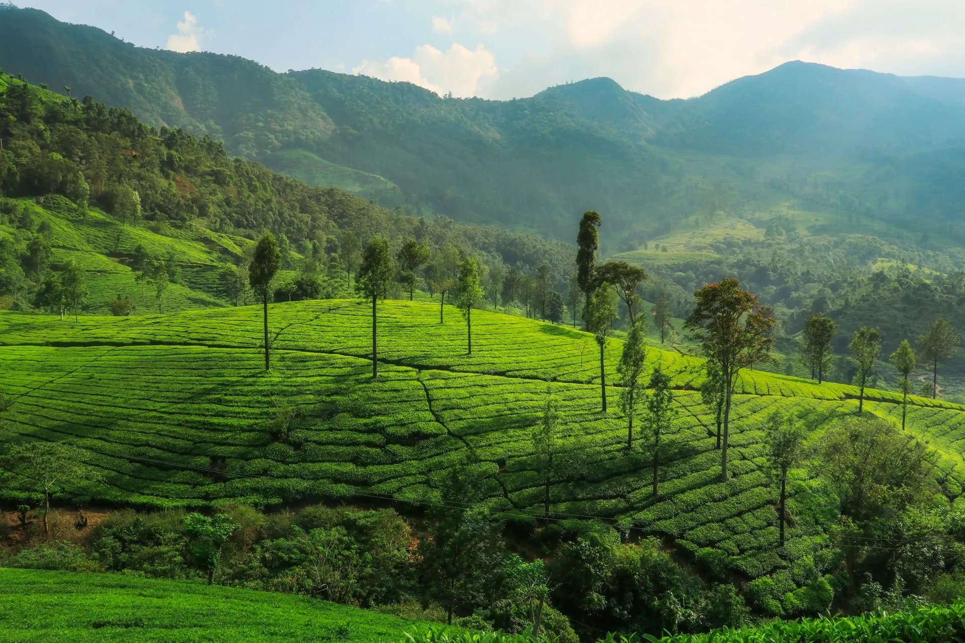 Sri Lanka Travel Hero