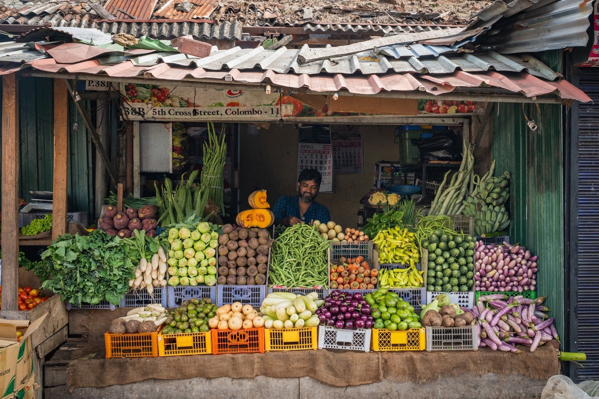 Sri Lanka Travel Hero