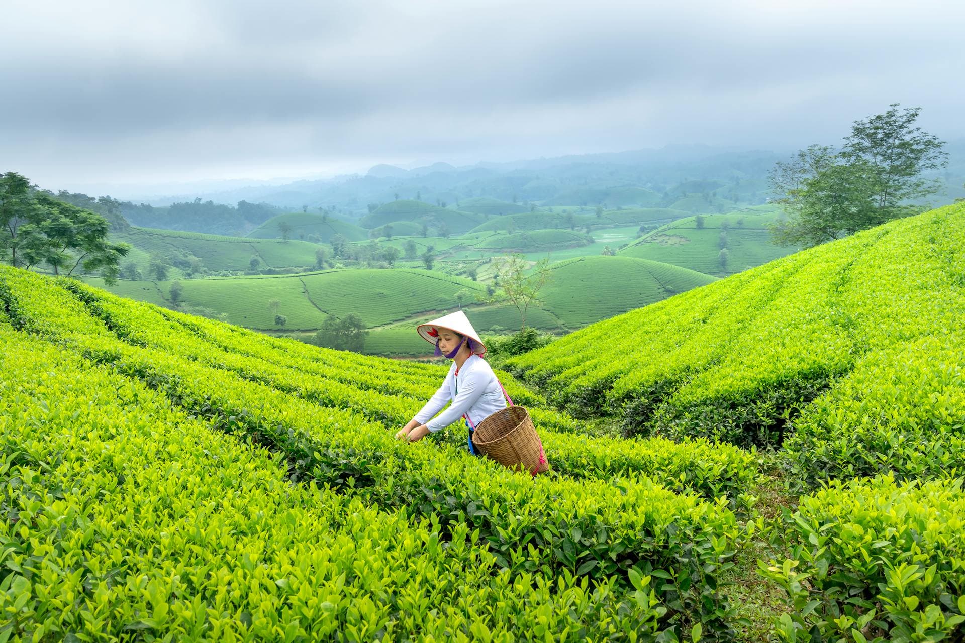Sri Lanka Travel Hero
