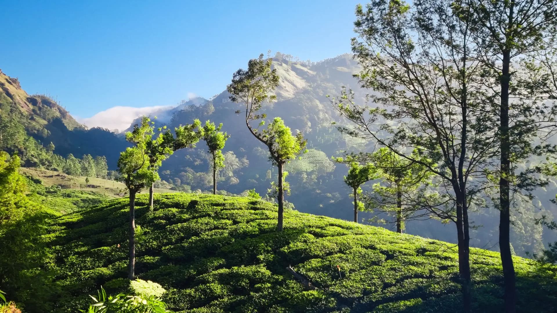 Badulla