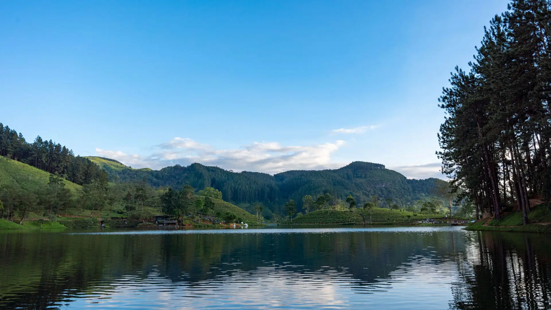 Matale